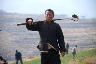 老农民 在线观看,探寻农村变迁与人物命运的故事