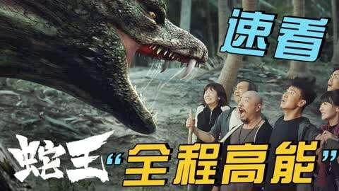 蛇王在线免费观看,揭秘神秘蛇界传奇