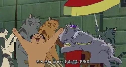 猫的报恩国语在线观看,感人故事在线播放