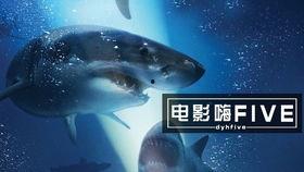 鲨滩免费观看网站,畅享惊险刺激的海洋冒险