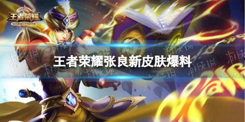 王者新皮肤爆料最新 消息,神秘英雄即将登场，炫酷特效引期待！