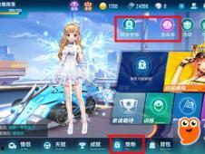 飞车最新宠物秘境爆料,探寻未知领域，解锁神秘力量