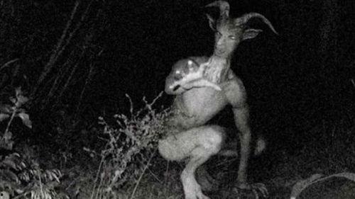 邪恶日本鸡鸡,历史真相与影响解析