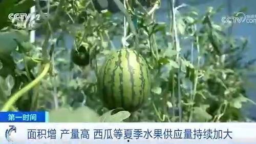 吃瓜新闻